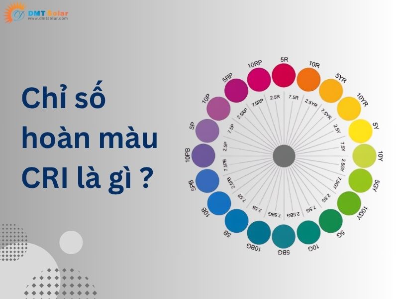 cri là gì