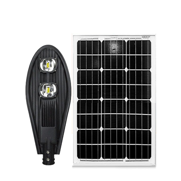 Đèn đường năng lượng mặt trời chiếc lá 100W D-100LCB (Panel Mono)