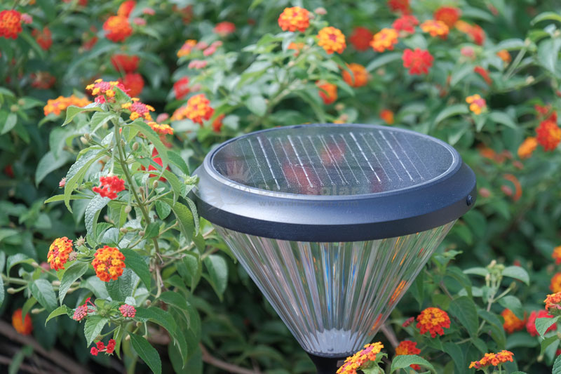 Tấm pin đèn trụ sân năng lượng mặt trời