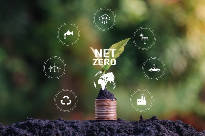 Net zero là gì