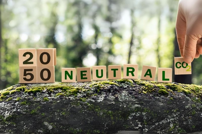 Vai trò của Net zero