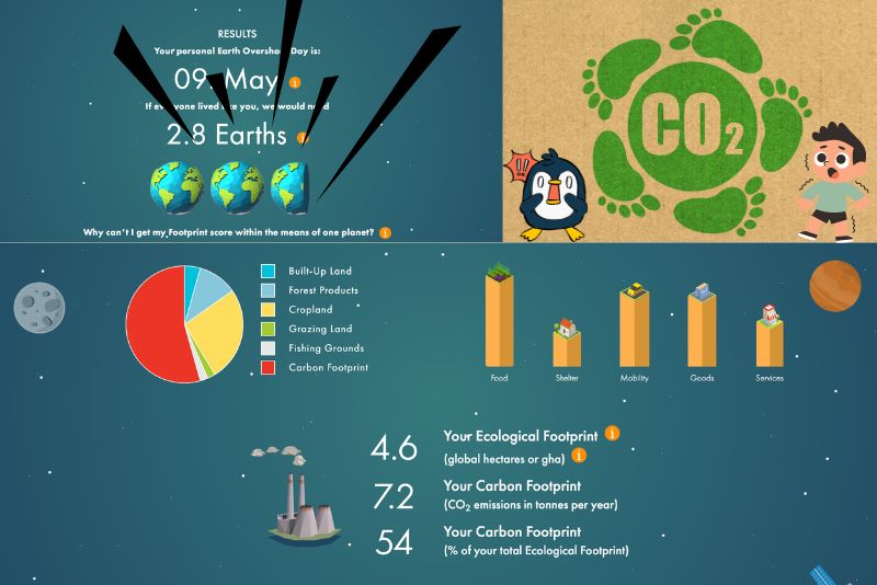 Cách tính dấu chân carbon đơn giản