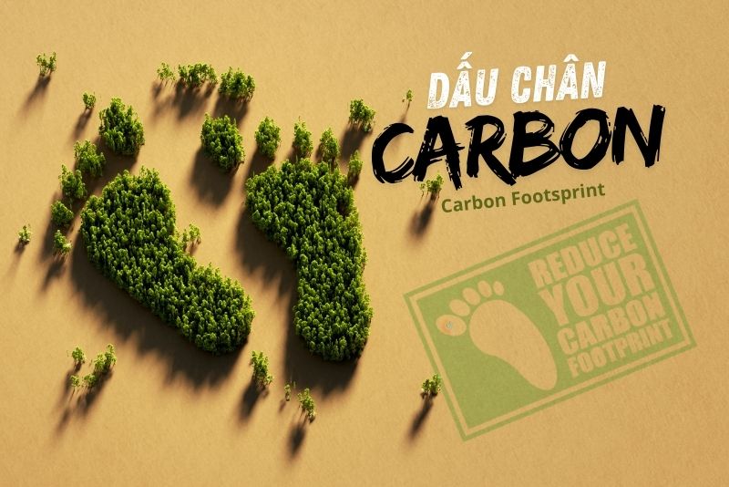 Carbon footprint là gì