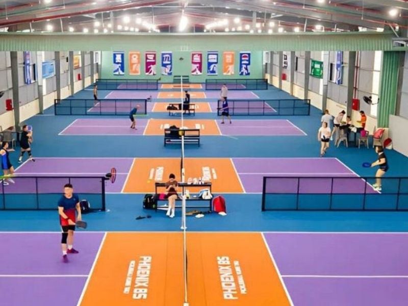 sân pickleball trong nhà
