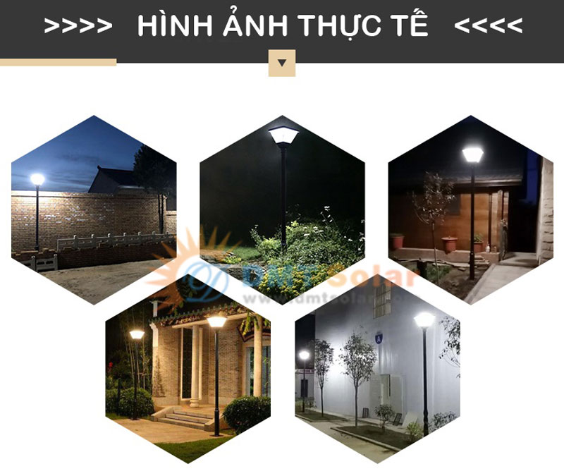 hình ảnh thực tế