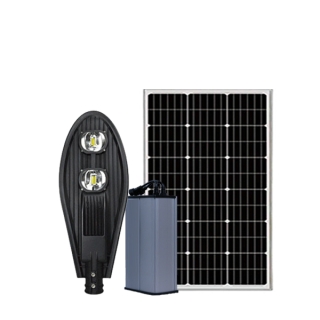 Đèn lá 100w năng lượng mặt trời D-SA100LRV | DMT Solar