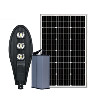 Đèn đường chiếc lá 150w năng lượng mặt trời D-150LRV | DMT Solar