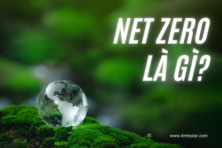 Net Zero Là Gì? Tầm Quan Trọng | Làm Thế Nào Để Đạt Được