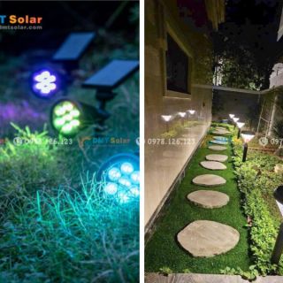 Hướng Dẫn Cải Tạo Sân Vườn Đẹp Dễ Thi Công Tiết Kiệm Chi Phí