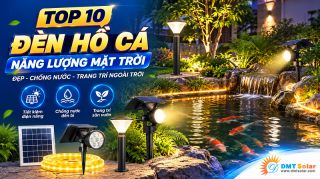 Top 10 Đèn Hồ Cá Năng Lượng Mặt Trời Đẹp, Chống Nước, Trang Trí Ngoài Trời
